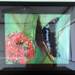 "Butterfly and Ixora" by Bonnie Eldridge.
Original watercolor, value $180.
Bonnie, an artist for 10 years in Florida and Michigan, is a member of the Florida Keys Watercolor Society.